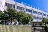 周辺： 中野区立白桜小学校 900m