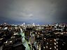 その他：眺望（北東向き）※夜景・ズーム無し
