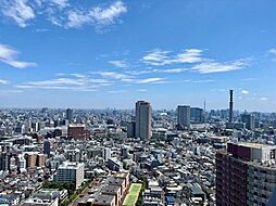 ズームなし