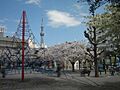 区立緑町公園 ...