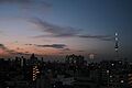 『隅田川花火大...