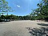 周辺：善福寺公園 450m