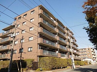 外観 外観