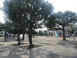 東大井公園 200m