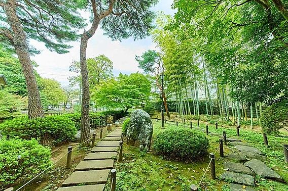 深沢の杜緑地 ...