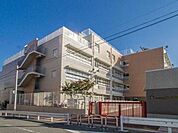 区立桜小学校 700m