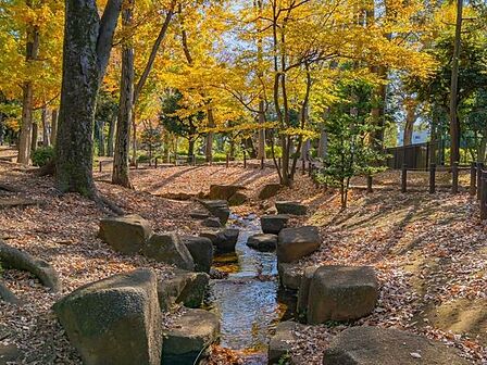 駒沢緑泉公園 470m