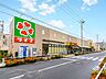 周辺：ライフ中野新井店 350m