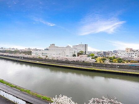 南西向きかつ前面に建物がないため、陽当たり良好です