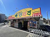  どらっぐぱぱす 板橋徳丸店 550m