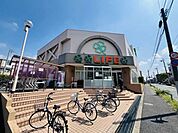ライフ　赤塚店 500m