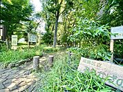 区立おもかげの森緑地 345m