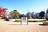 周辺：常盤公園 290m