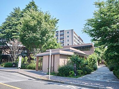外観 外観