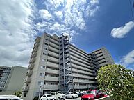 千葉県市川市鬼高2丁目：物件画像