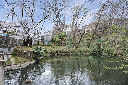 黒川清流公園 50m