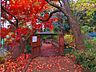 周辺：黒川清流公園 50m