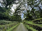 都立小山田緑地 200m