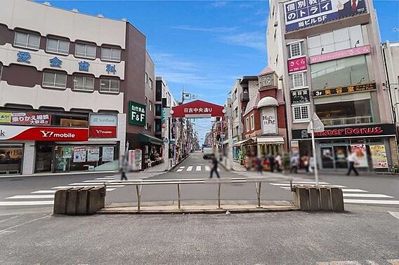 日吉中央通り ...