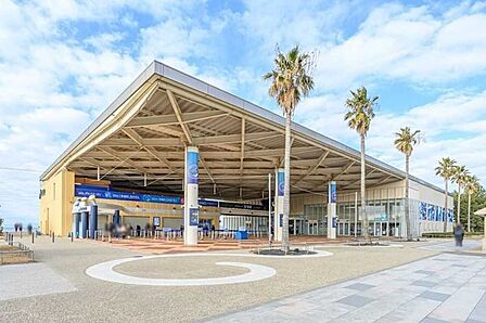  新江ノ島水族館 50m