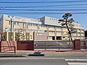  川崎市立宮内小学校 850m
