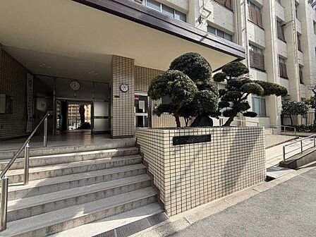 大阪市立大淀中学校 240m