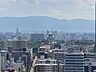 その他：ズーム有り