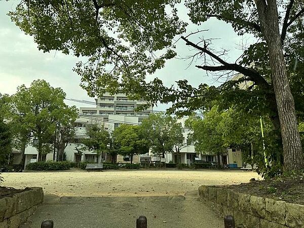 周辺を拡大表示