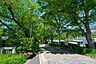 周辺：外濠公園 250m