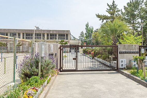 藤白台小学校 ...