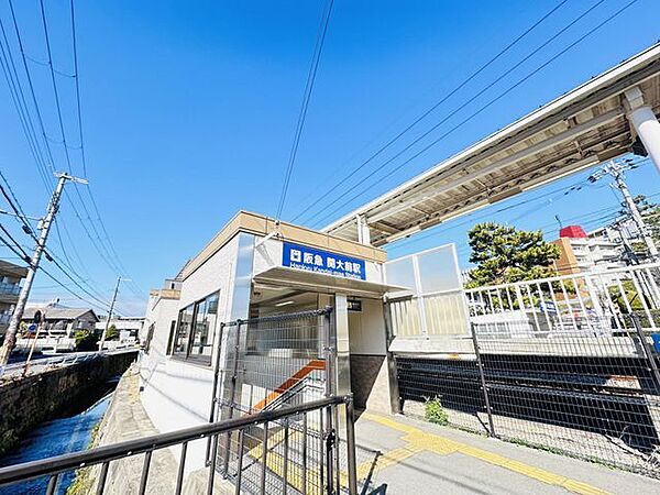周辺を拡大表示