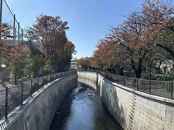 周辺を拡大表示