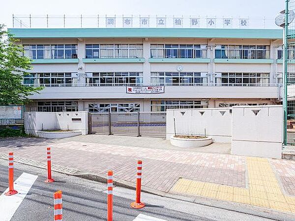 周辺を拡大表示