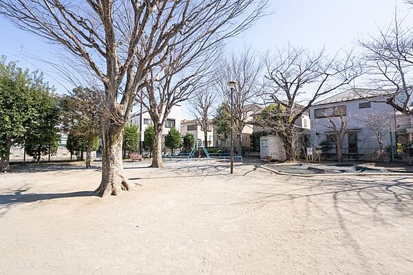 周辺を拡大表示