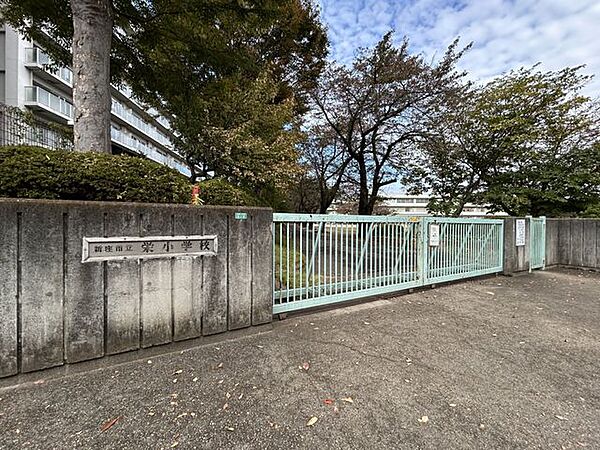 周辺を拡大表示