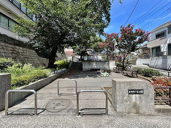 周辺を拡大表示