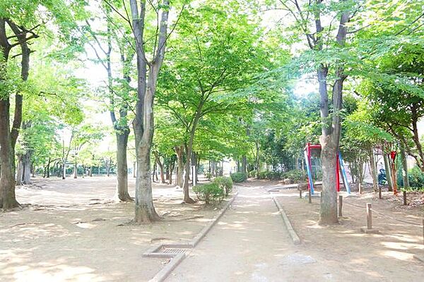周辺を拡大表示