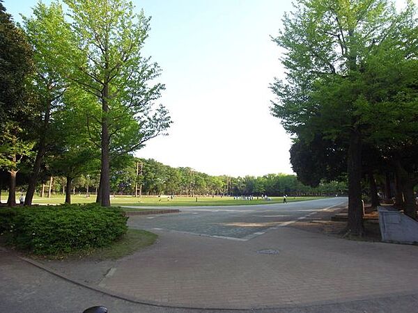 周辺を拡大表示