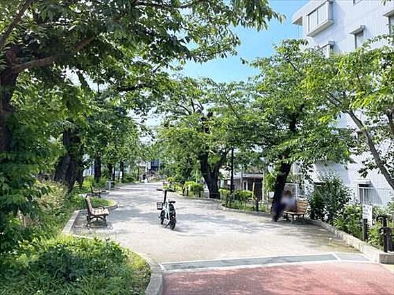玉川上水緑道ま...