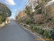 前面道路向かい緑地1（2025年1月撮影