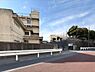 その他：松戸市立矢切小学校 590m