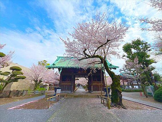 祐天寺まで29...