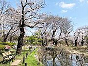 善福寺公園まで300m
