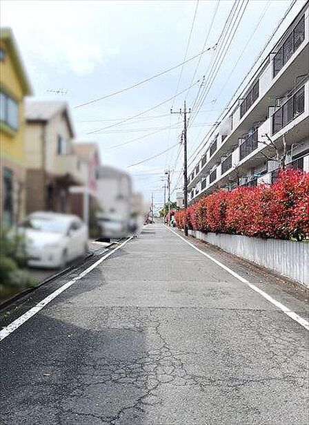 現地前道路