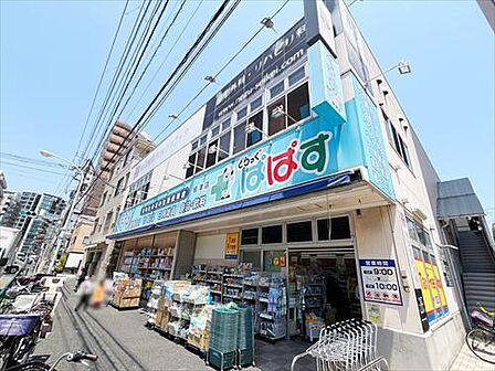 どらっぐぱぱす根津店(800m)
