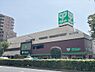 その他：サミット野沢龍雲寺店 440m