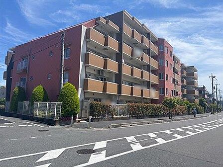 現地写真(2026年5月撮影)