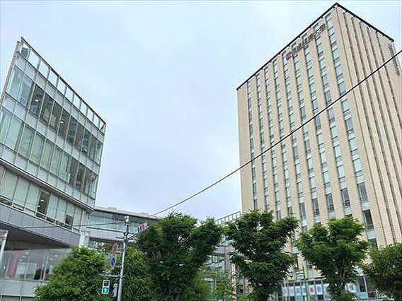 経済大学新松戸...