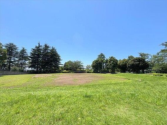 新石川公園-6...