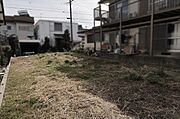 現地写真